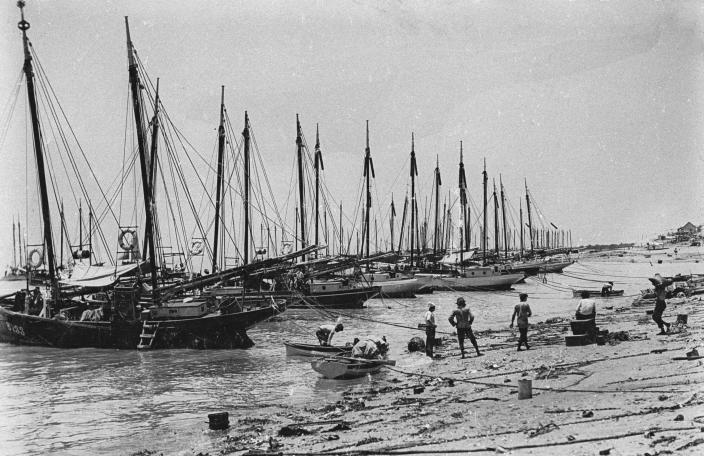 A lugger fleet.